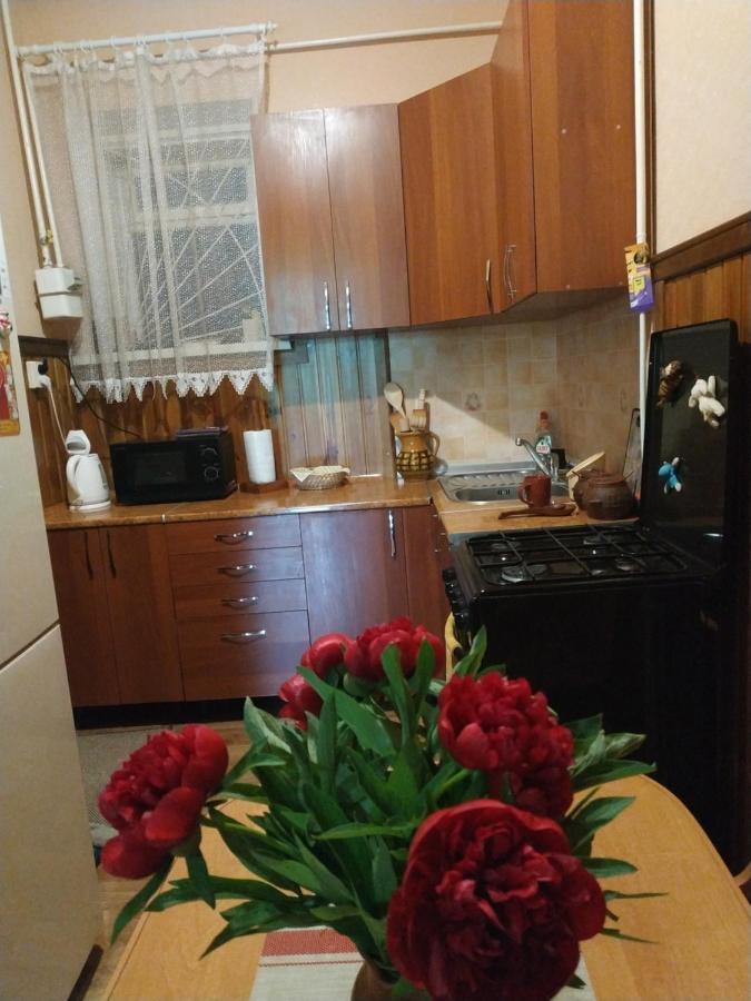 Apartment In The Center Of Old Town Kamjanets-Podilskyi Eksteriør billede
